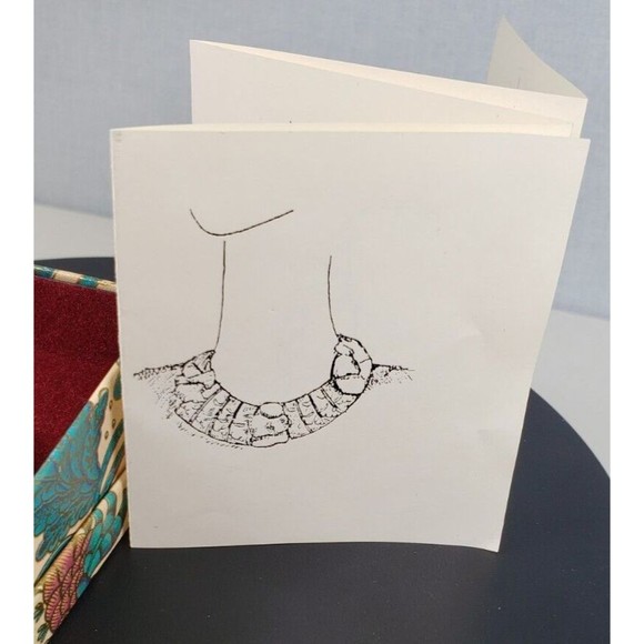 Ann Cahil Collection Scarf Tube With Original Box & Card w/Designs Card Info - Picture 9 of 10